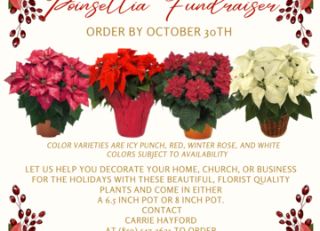 Read More - Poinsettia Fundraiser